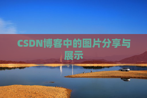 CSDN博客中的图片分享与展示